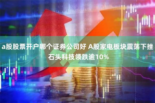 a股股票开户哪个证券公司好 A股家电板块震荡下挫 石头科技领跌逾10%