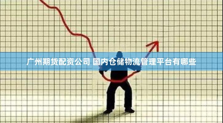 广州期货配资公司 国内仓储物流管理平台有哪些