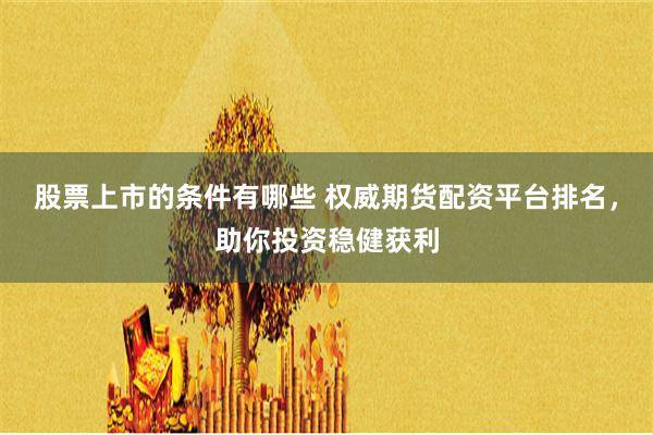股票上市的条件有哪些 权威期货配资平台排名,助你投资稳健获利