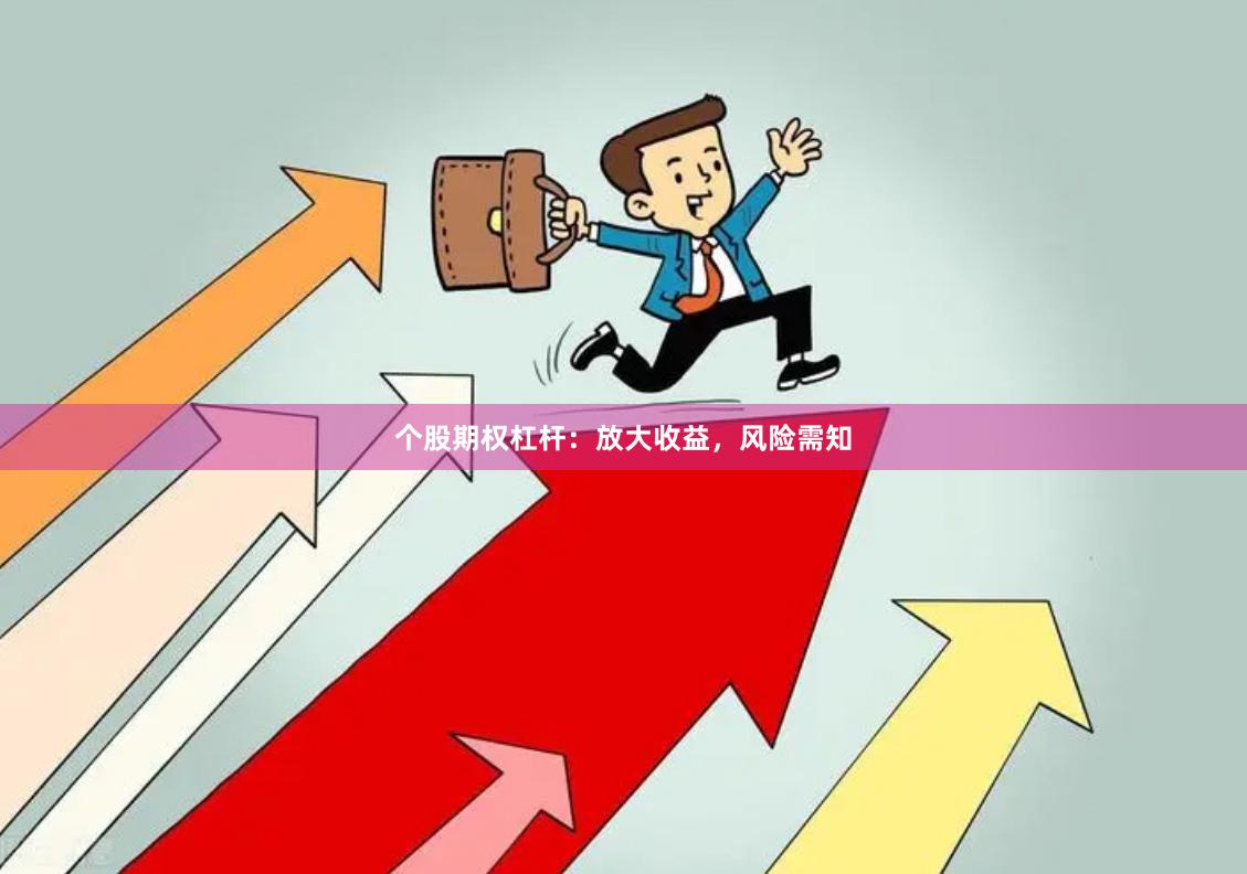 个股期权杠杆：放大收益，风险需知